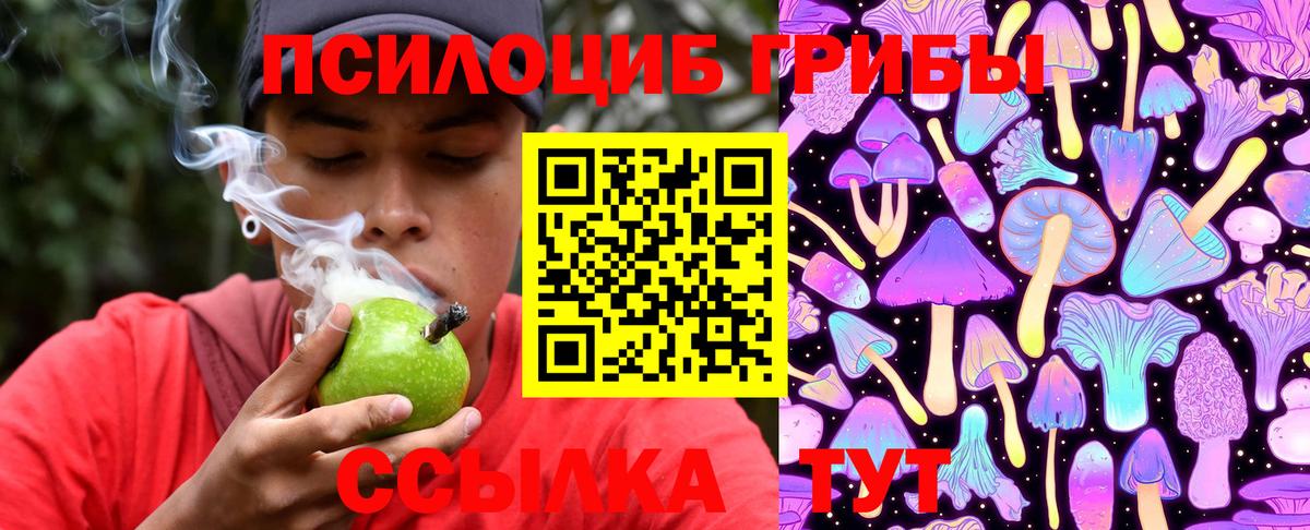 Псилоцибиновые грибы Psilocybine cubensis Дубна